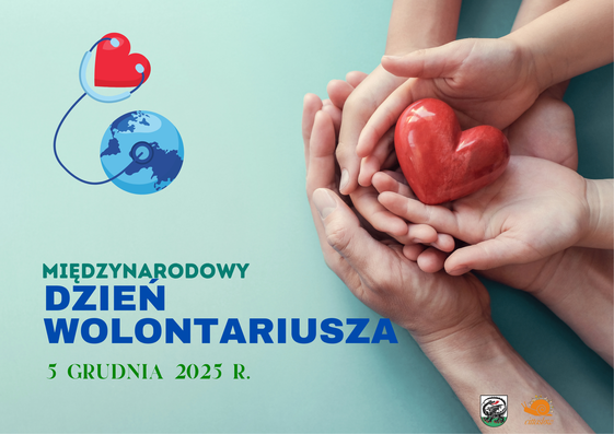 Grafika poglądowa - Międzynarodowy Dzień Wolontariusza